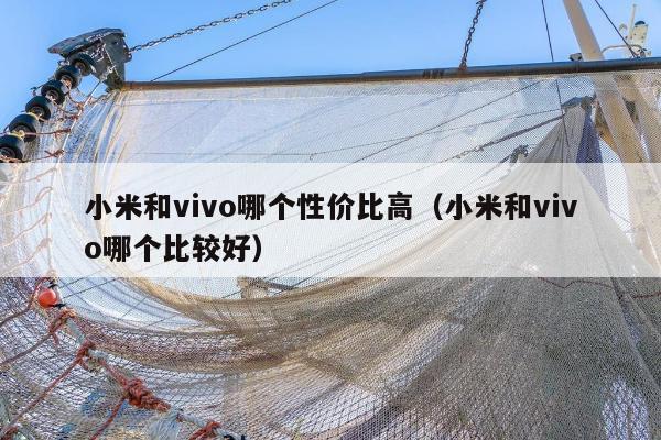 小米和vivo哪个性价比高（小米和vivo哪个比较好）