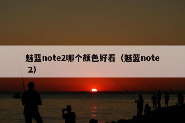 魅蓝note2哪个颜色好看（魅蓝note 2）