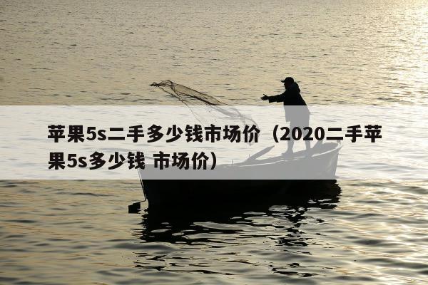 苹果5s二手多少钱市场价（2020二手苹果5s多少钱 市场价）