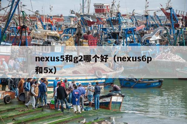 nexus5和g2哪个好（nexus6p和5x）