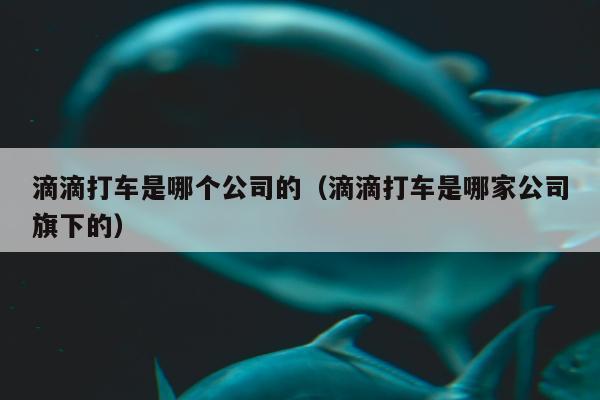 滴滴打车是哪个公司的（滴滴打车是哪家公司旗下的）