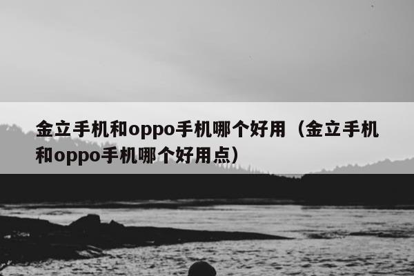 金立手机和oppo手机哪个好用（金立手机和oppo手机哪个好用点）