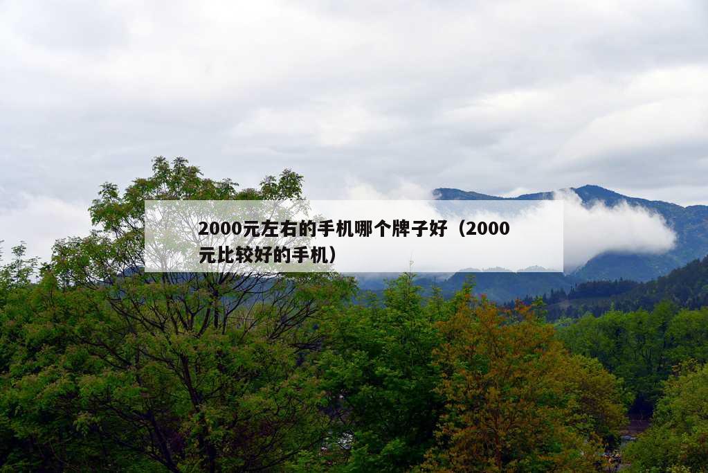 2000元左右的手机哪个牌子好（2000元比较好的手机）