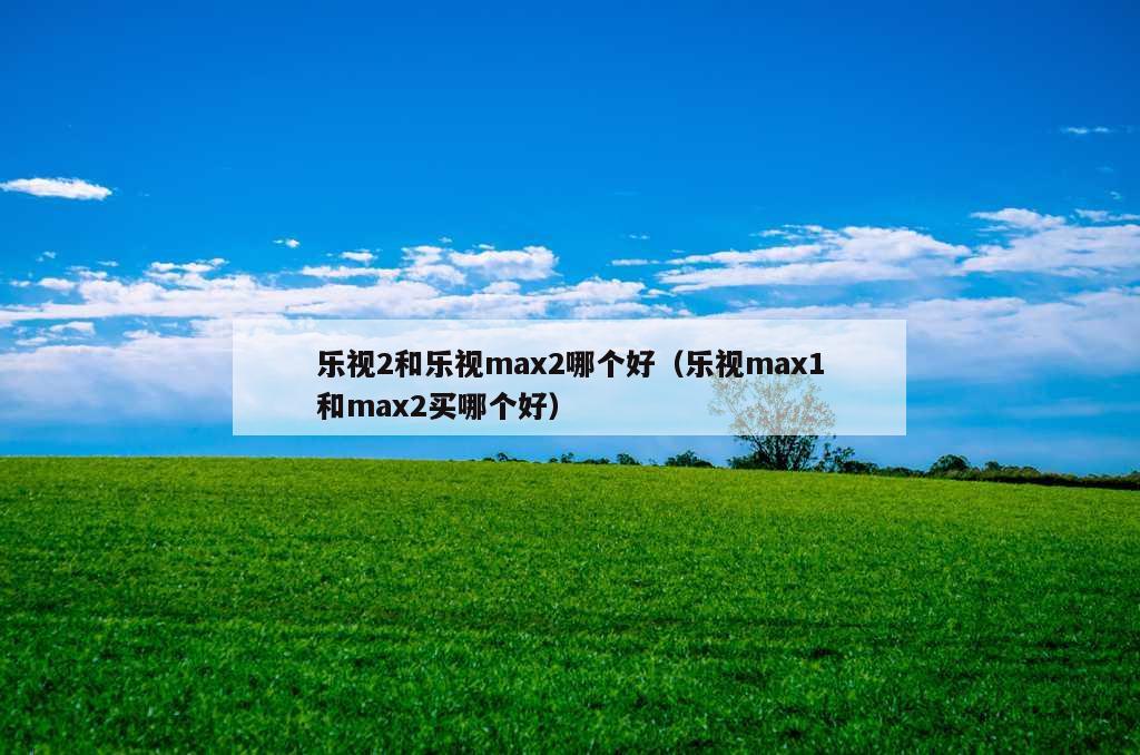 乐视2和乐视max2哪个好（乐视max1和max2买哪个好）