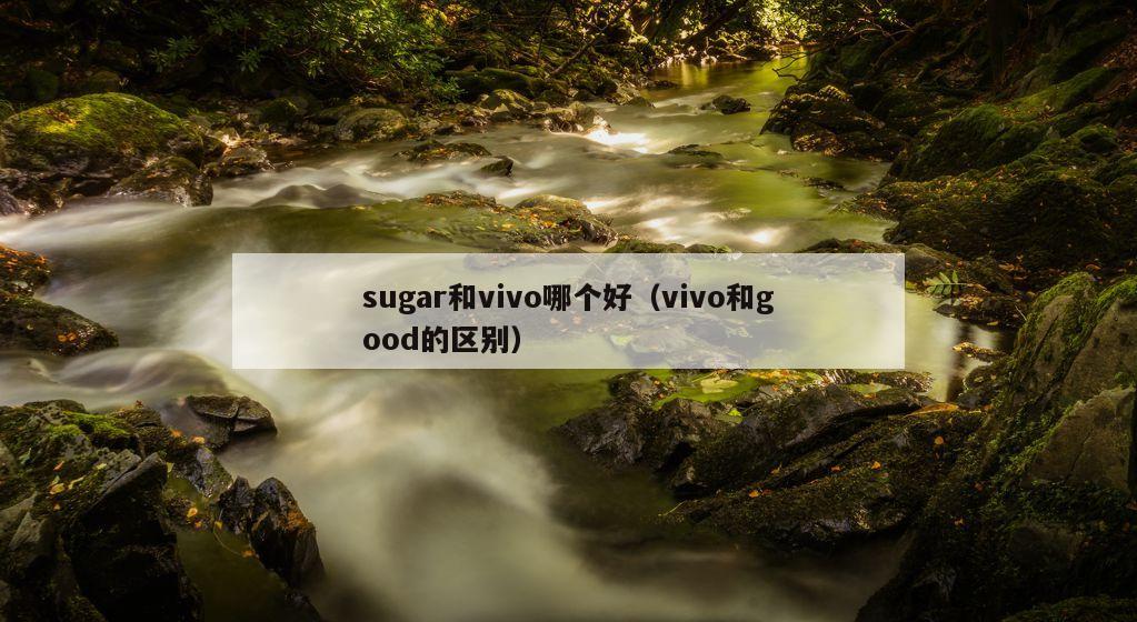 sugar和vivo哪个好（vivo和good的区别）