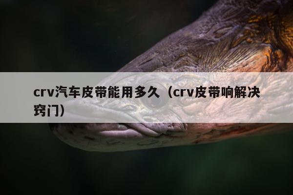 crv汽车皮带能用多久（crv皮带响解决窍门）