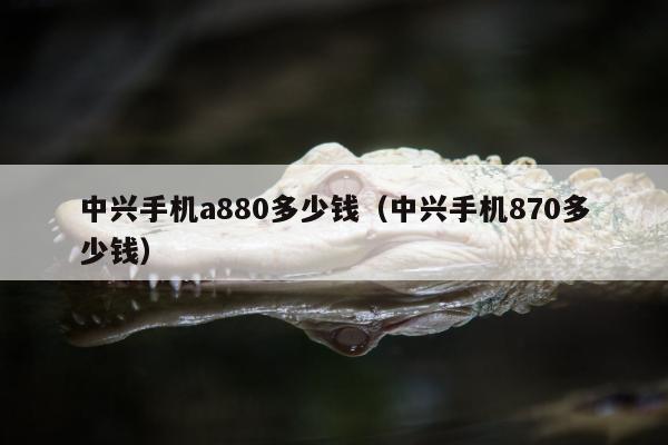 中兴手机a880多少钱（中兴手机870多少钱）