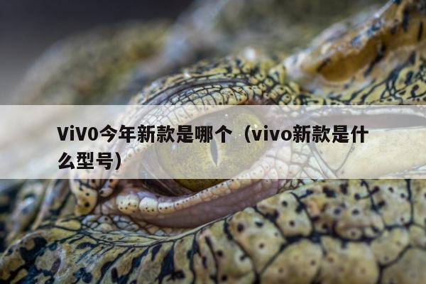 ViV0今年新款是哪个（vivo新款是什么型号）