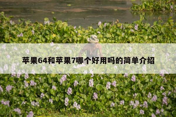 苹果64和苹果7哪个好用吗的简单介绍