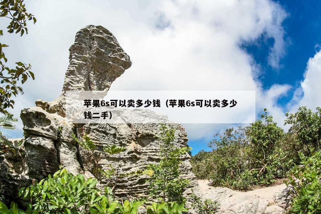 苹果6s可以卖多少钱（苹果6s可以卖多少钱二手）