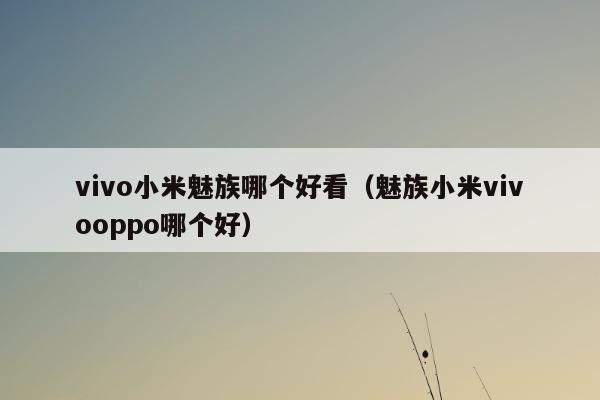 vivo小米魅族哪个好看（魅族小米vivooppo哪个好）