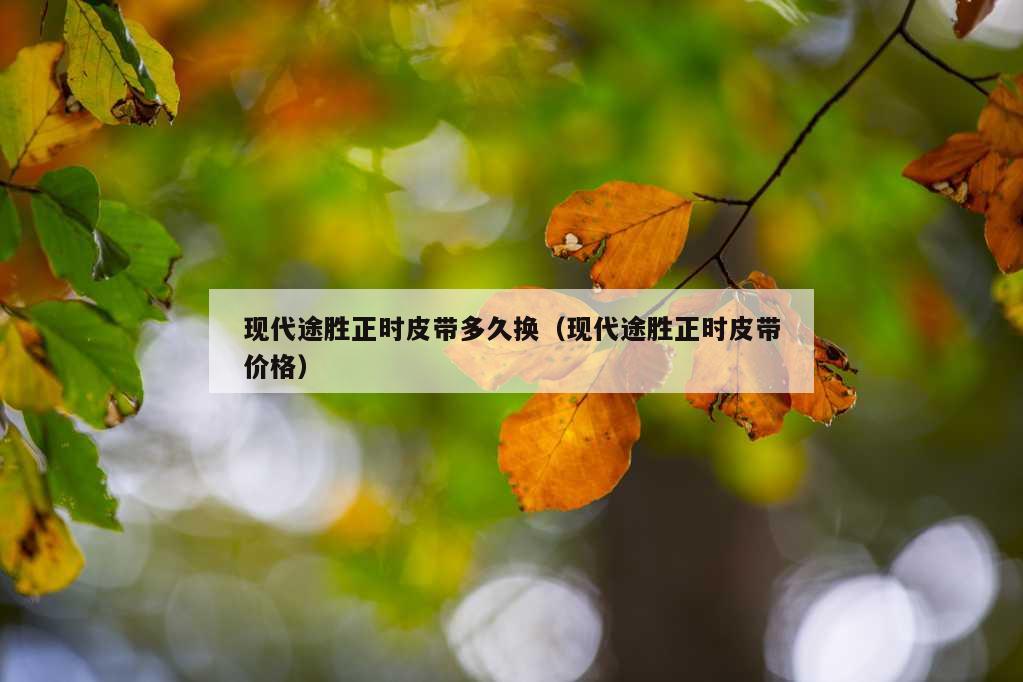 现代途胜正时皮带多久换（现代途胜正时皮带价格）