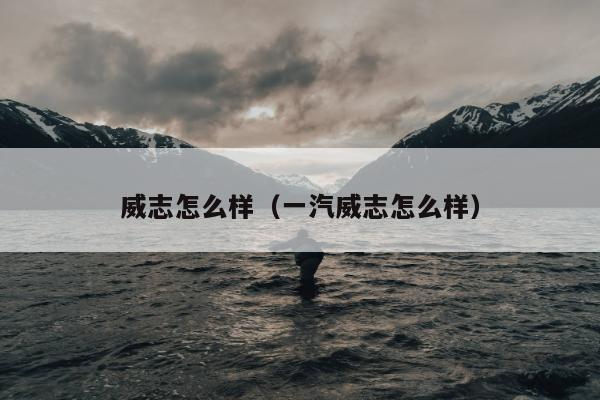 威志怎么样（一汽威志怎么样）