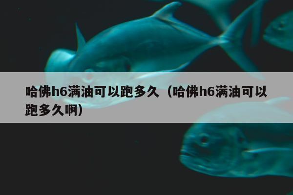 哈佛h6满油可以跑多久（哈佛h6满油可以跑多久啊）