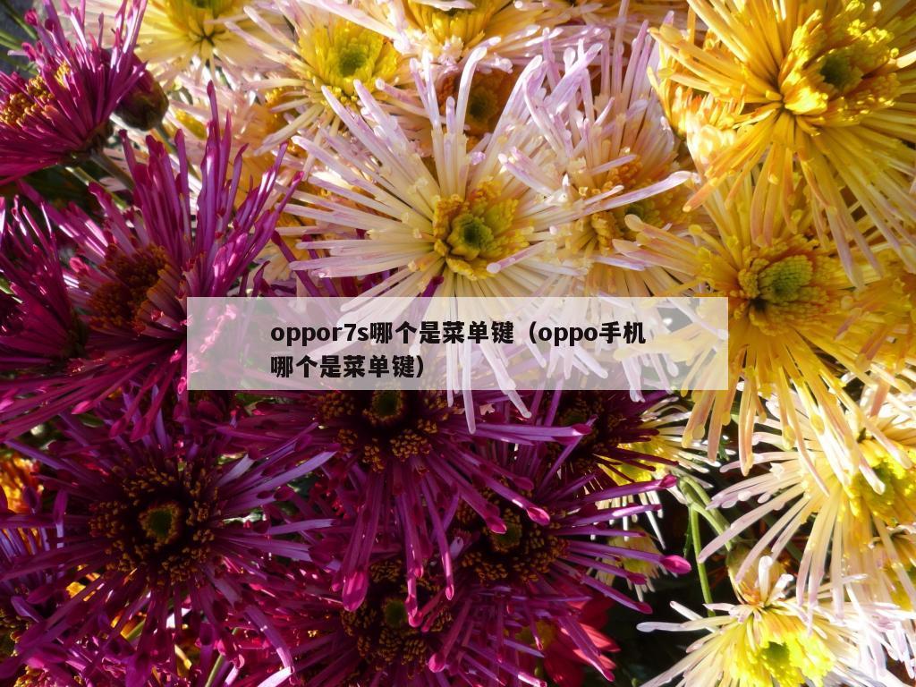 oppor7s哪个是菜单键（oppo手机哪个是菜单键）