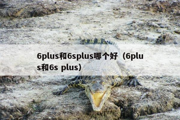 6plus和6splus哪个好（6plus和6s plus）