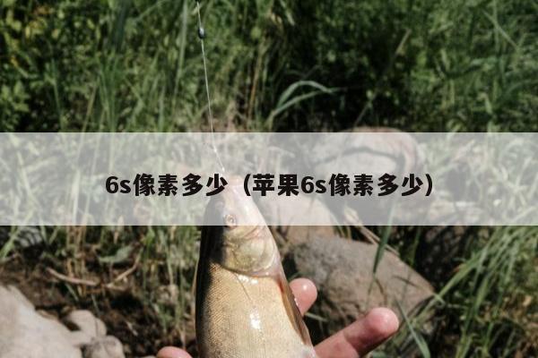 6s像素多少（苹果6s像素多少）