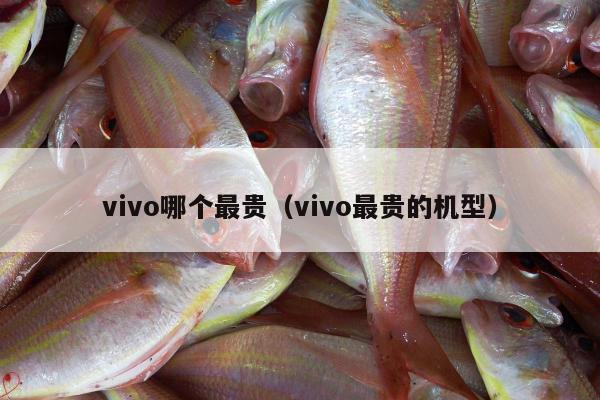 vivo哪个最贵（vivo最贵的机型）