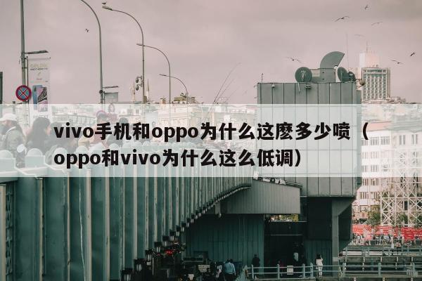 vivo手机和oppo为什么这麽多少喷（oppo和vivo为什么这么低调）