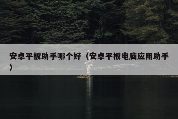 安卓平板助手哪个好（安卓平板电脑应用助手）