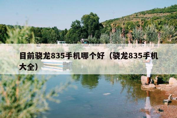 目前骁龙835手机哪个好（骁龙835手机大全）