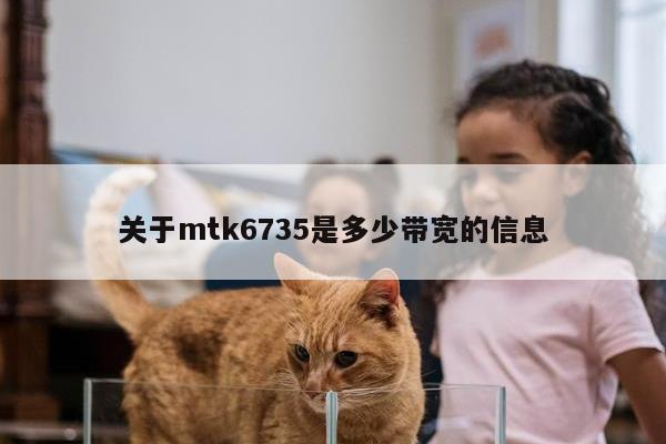 关于mtk6735是多少带宽的信息