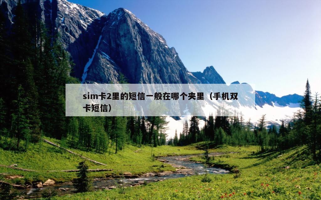 sim卡2里的短信一般在哪个夹里（手机双卡短信）