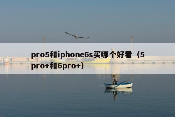 pro5和iphone6s买哪个好看（5pro+和6pro+）