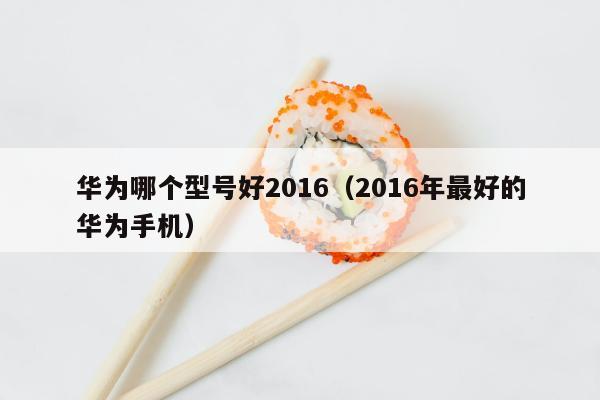 华为哪个型号好2016（2016年最好的华为手机）