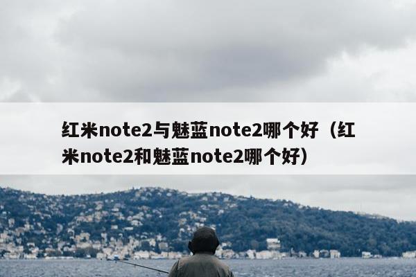 红米note2与魅蓝note2哪个好（红米note2和魅蓝note2哪个好）