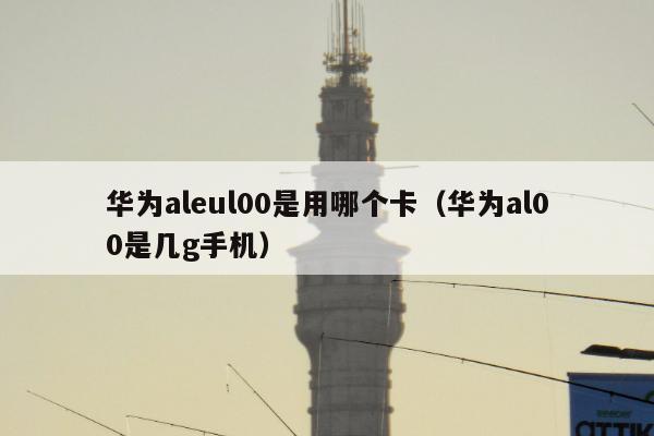 华为aleul00是用哪个卡（华为al00是几g手机）