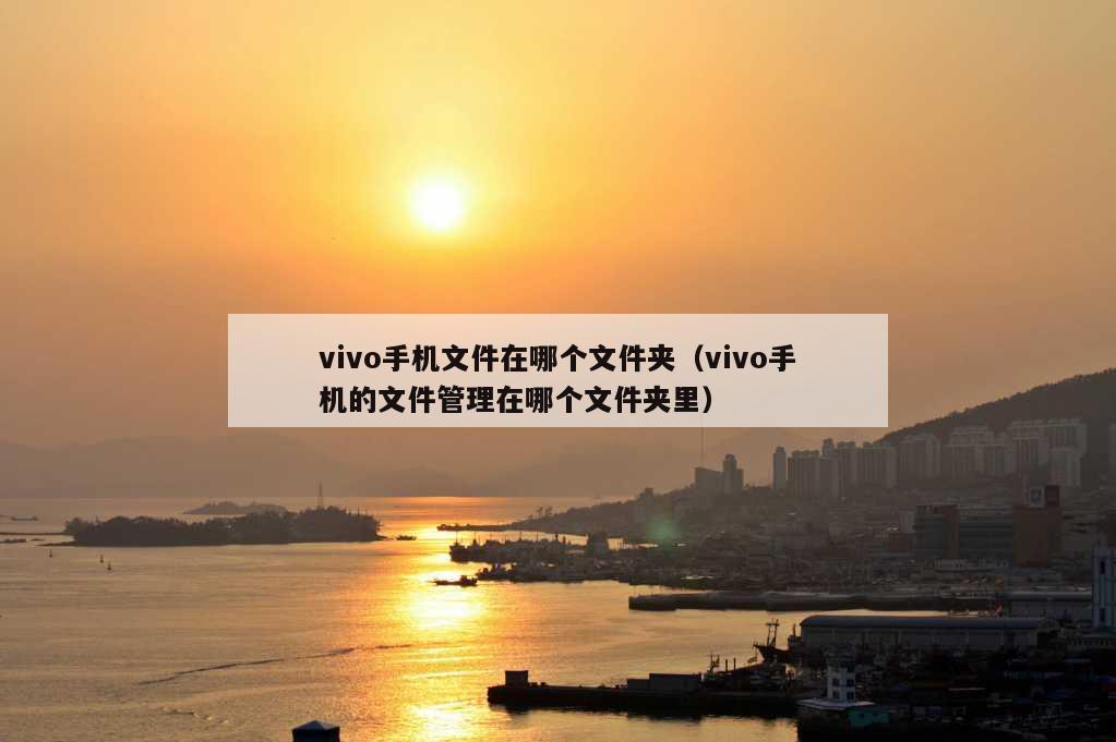 vivo手机文件在哪个文件夹（vivo手机的文件管理在哪个文件夹里）