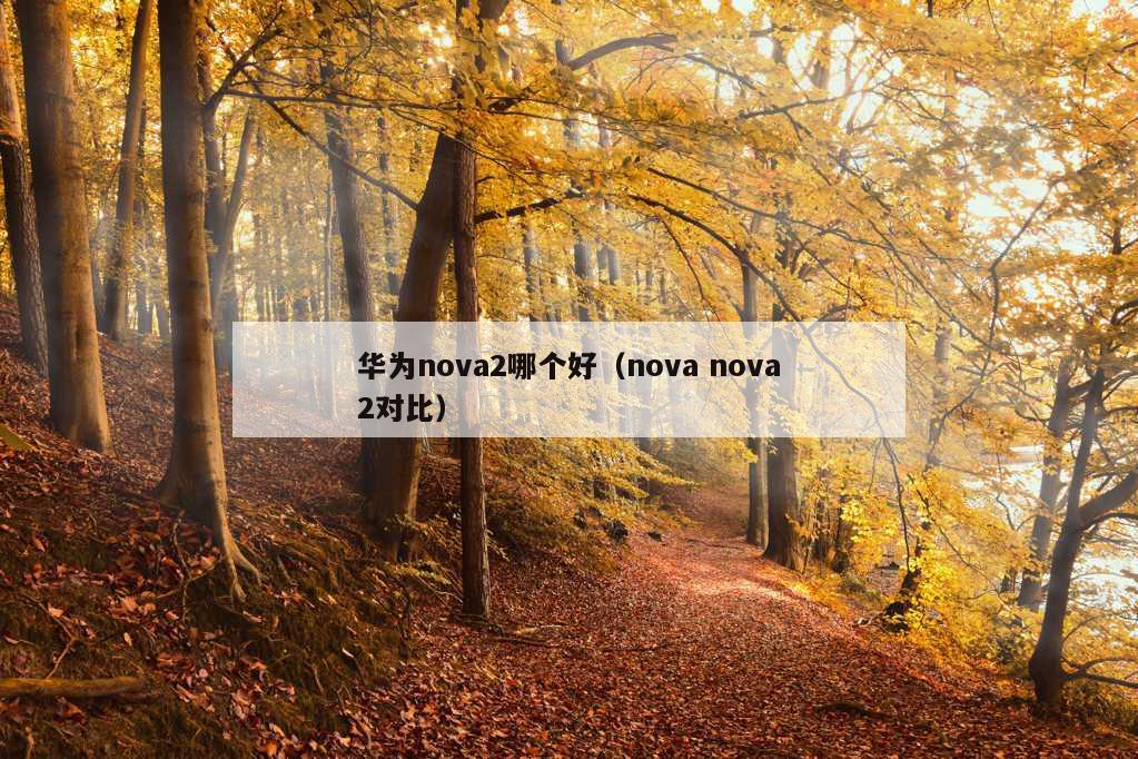 华为nova2哪个好（nova nova2对比）