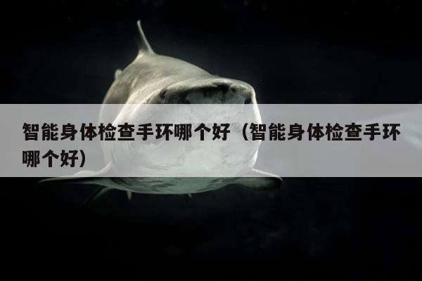 智能身体检查手环哪个好（智能身体检查手环哪个好）