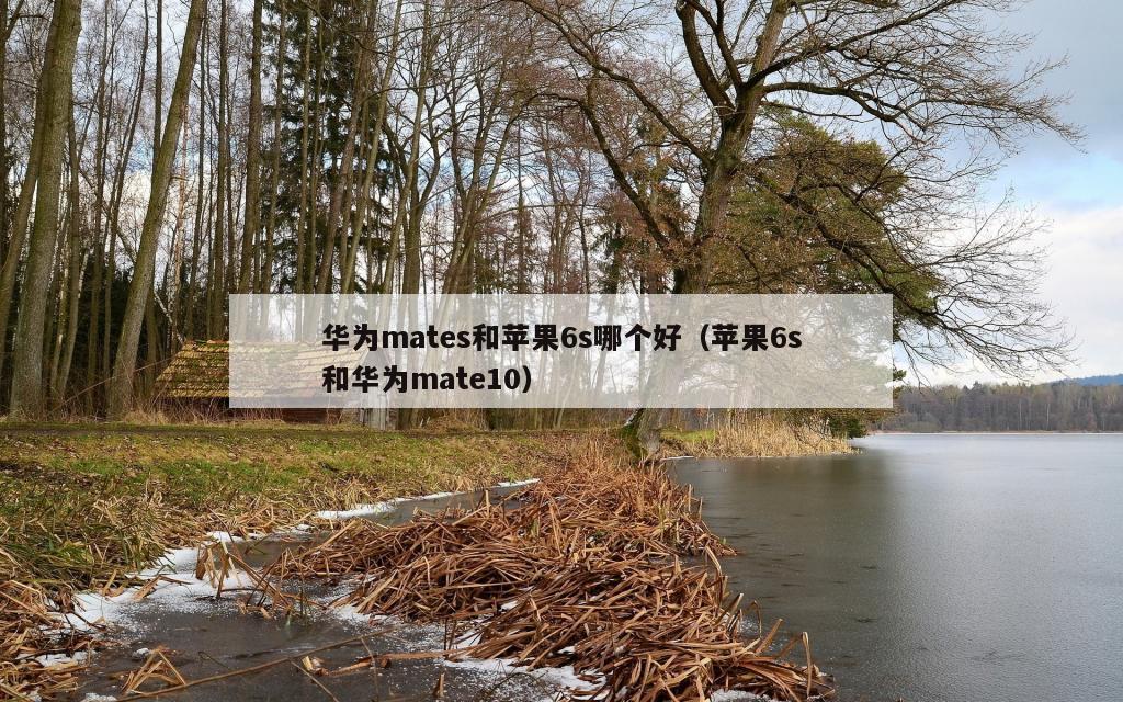 华为mates和苹果6s哪个好（苹果6s和华为mate10）