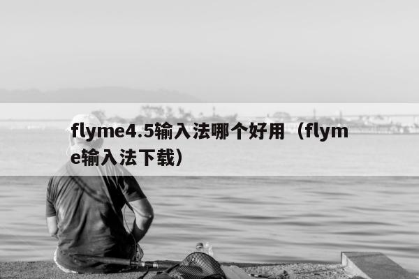 flyme4.5输入法哪个好用（flyme输入法下载）