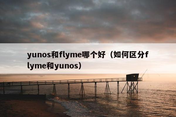 yunos和flyme哪个好（如何区分flyme和yunos）