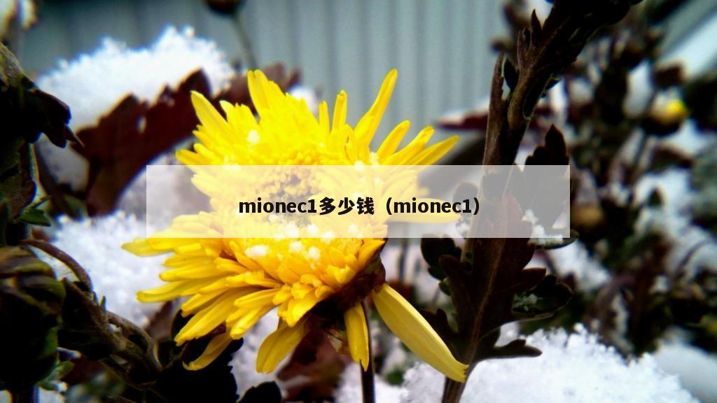 mionec1多少钱（mionec1）