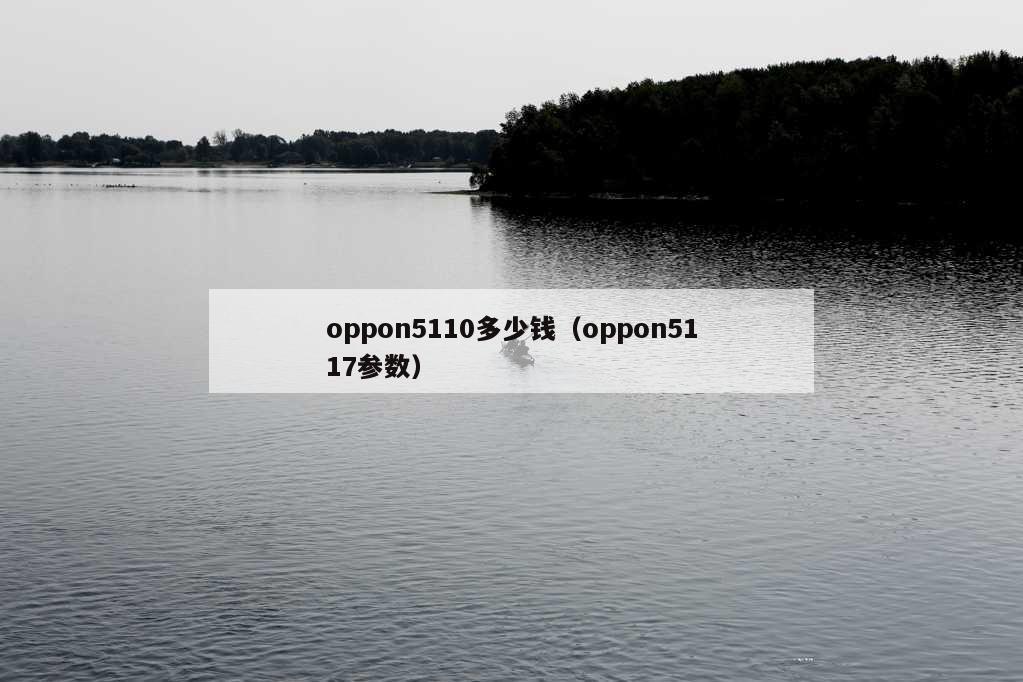 oppon5110多少钱（oppon5117参数）