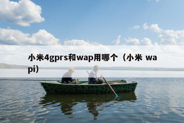 小米4gprs和wap用哪个（小米 wapi）