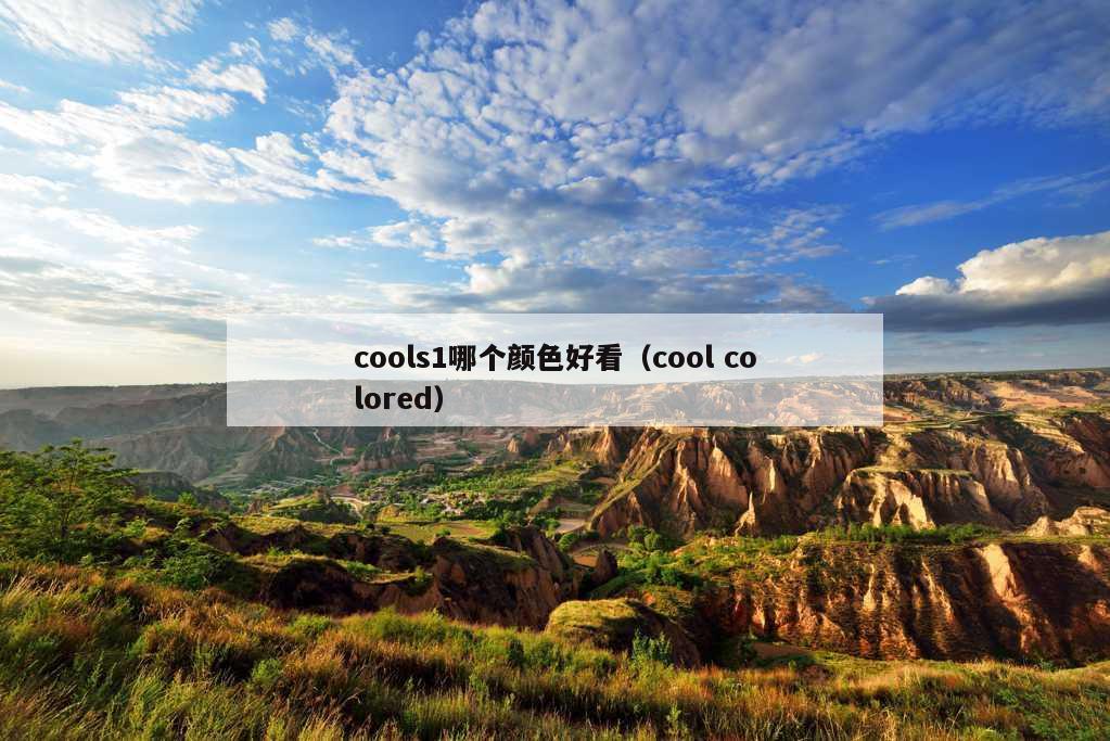 cools1哪个颜色好看（cool colored）