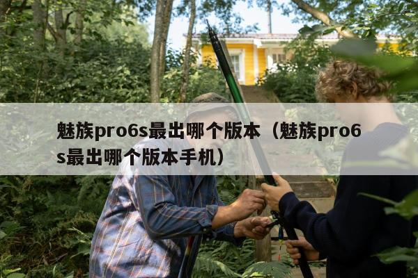 魅族pro6s最出哪个版本（魅族pro6s最出哪个版本手机）