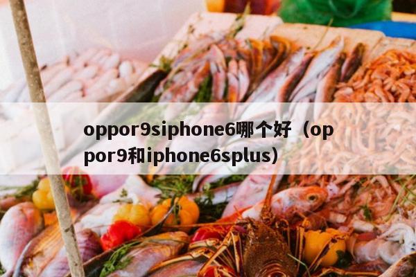 oppor9siphone6哪个好（oppor9和iphone6splus）