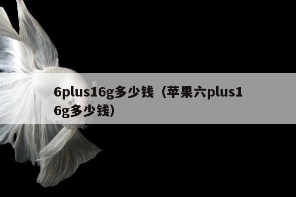 6plus16g多少钱（苹果六plus16g多少钱）