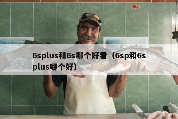 6splus和6s哪个好看（6sp和6splus哪个好）