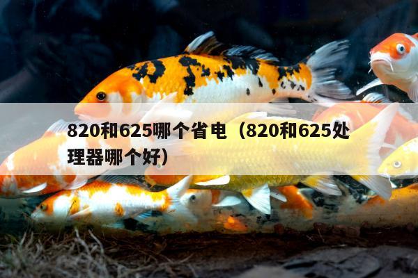 820和625哪个省电（820和625处理器哪个好）