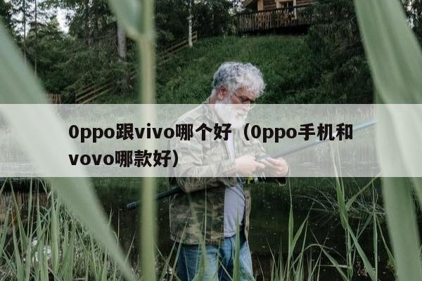 0ppo跟vivo哪个好（0ppo手机和vovo哪款好）