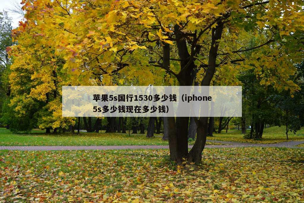 苹果5s国行1530多少钱（iphone5s多少钱现在多少钱）