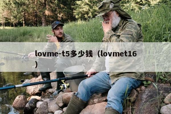 lovme-t5多少钱（lovmet16）