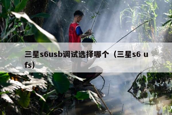 三星s6usb调试选择哪个（三星s6 ufs）